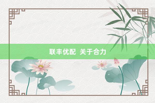 联丰优配  关于合力