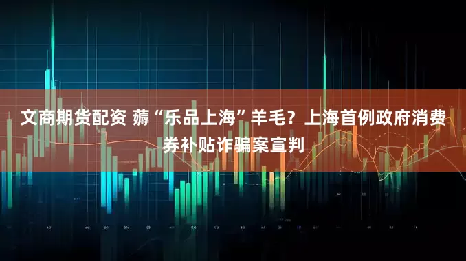文商期货配资 薅“乐品上海”羊毛？上海首例政府消费券补贴诈骗案宣判