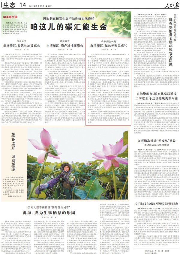 利好优配 人民日报 | 烟台长岛: 海洋碳汇, 绿色养殖添底气